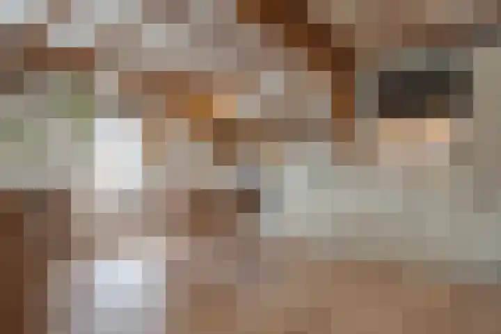 Kamperstraat 11 F Zwolle thumbnail 10