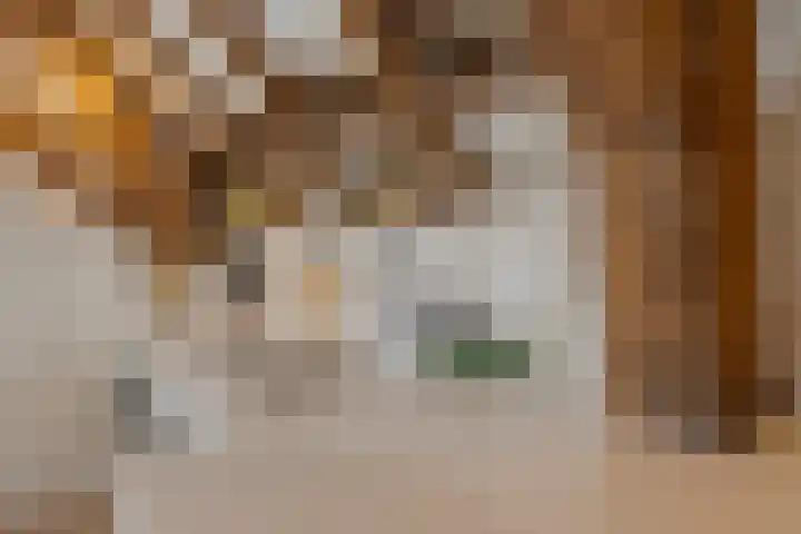 Kamperstraat 11 F Zwolle thumbnail 14
