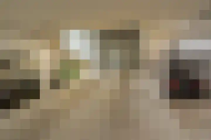 Kamperstraat 11 F Zwolle thumbnail 27