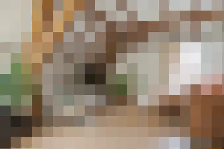 Kamperstraat 11 F Zwolle thumbnail 7