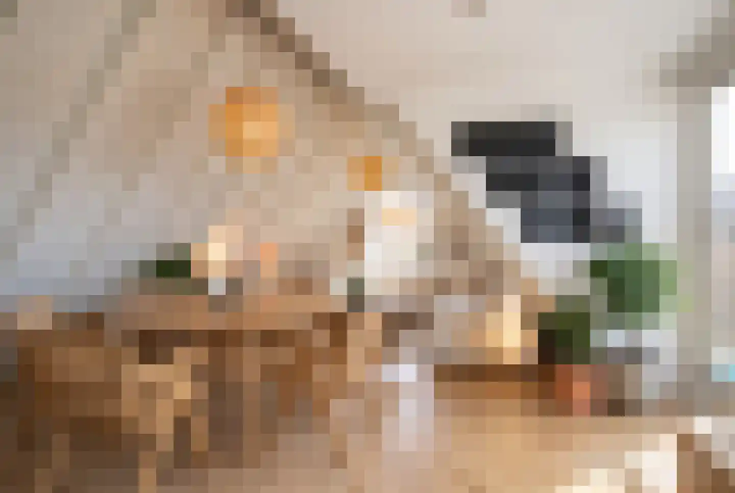 Kamperstraat 11 H Zwolle thumbnail 13
