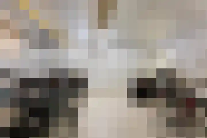 Kamperstraat 11 L Zwolle thumbnail 27