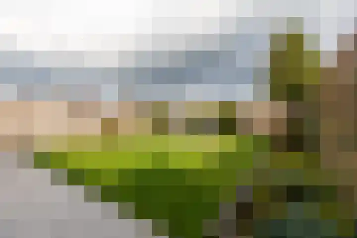 Kamperstraat 12 Landgraaf thumbnail 13