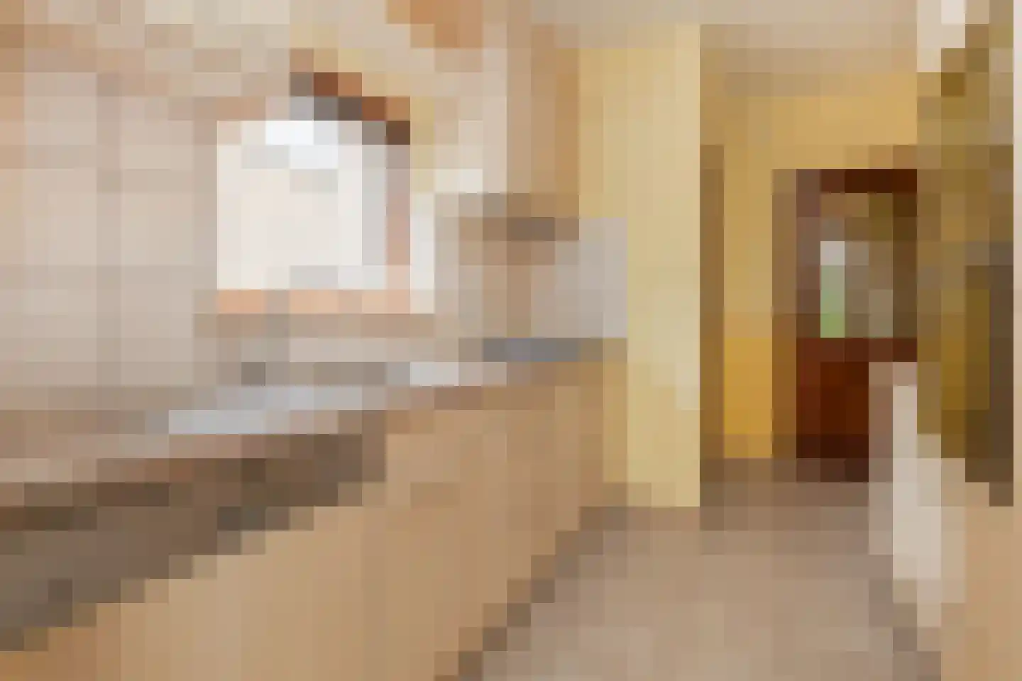 Kamperstraat 26 Stein thumbnail 12
