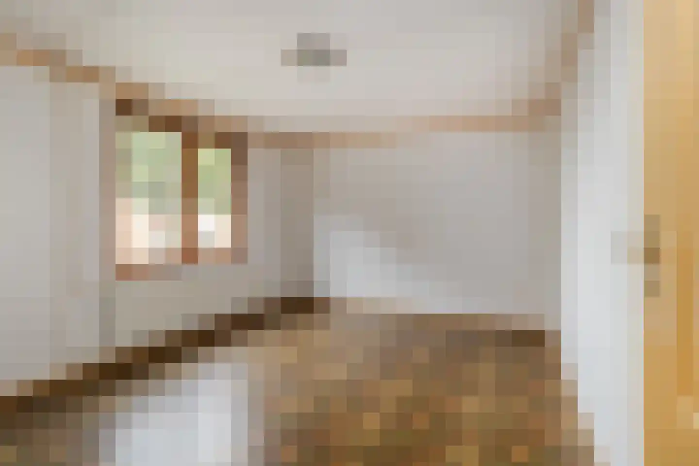 Kamperstraat 26 Stein thumbnail 18