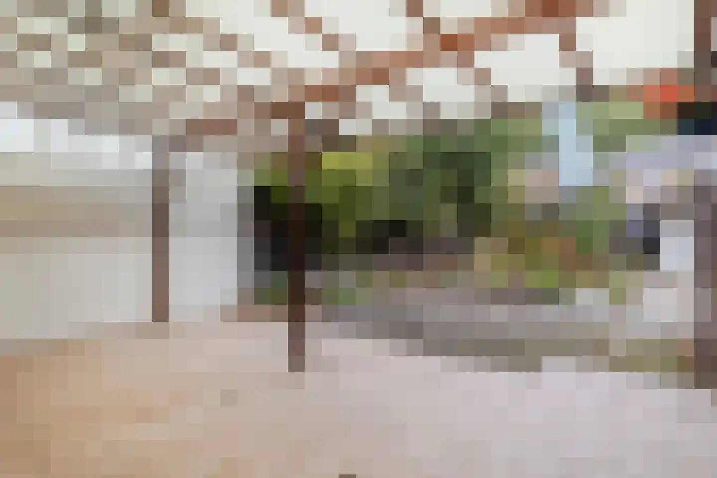 Kamperstraat 26 Stein thumbnail 22