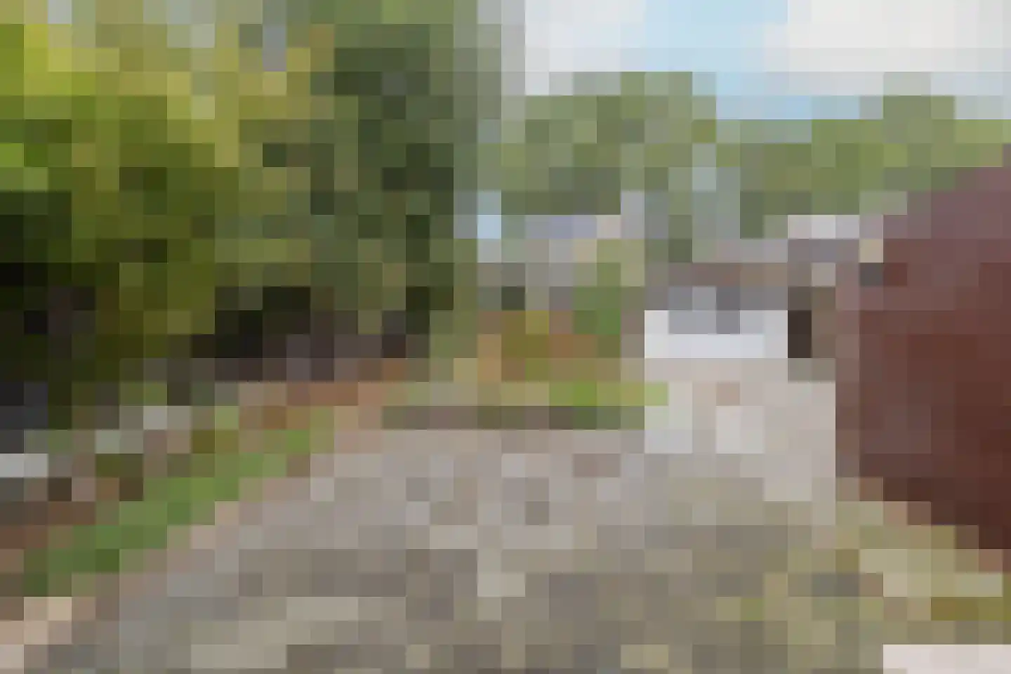 Kamperstraat 26 Stein thumbnail 24