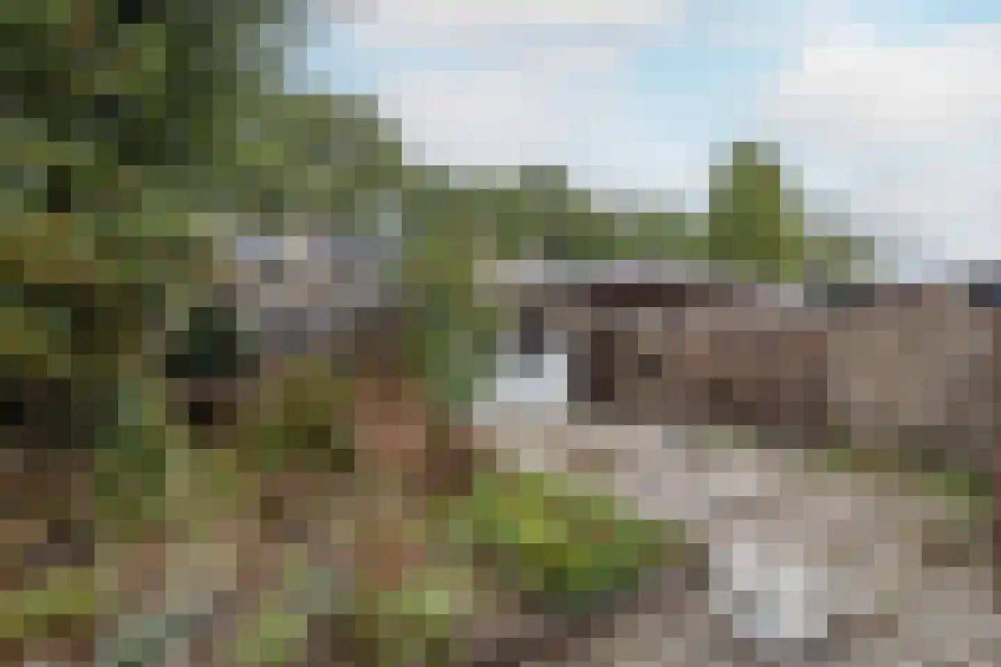 Kamperstraat 26 Stein thumbnail 25
