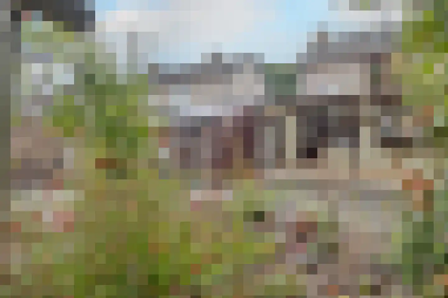 Kamperstraat 26 Stein thumbnail 28