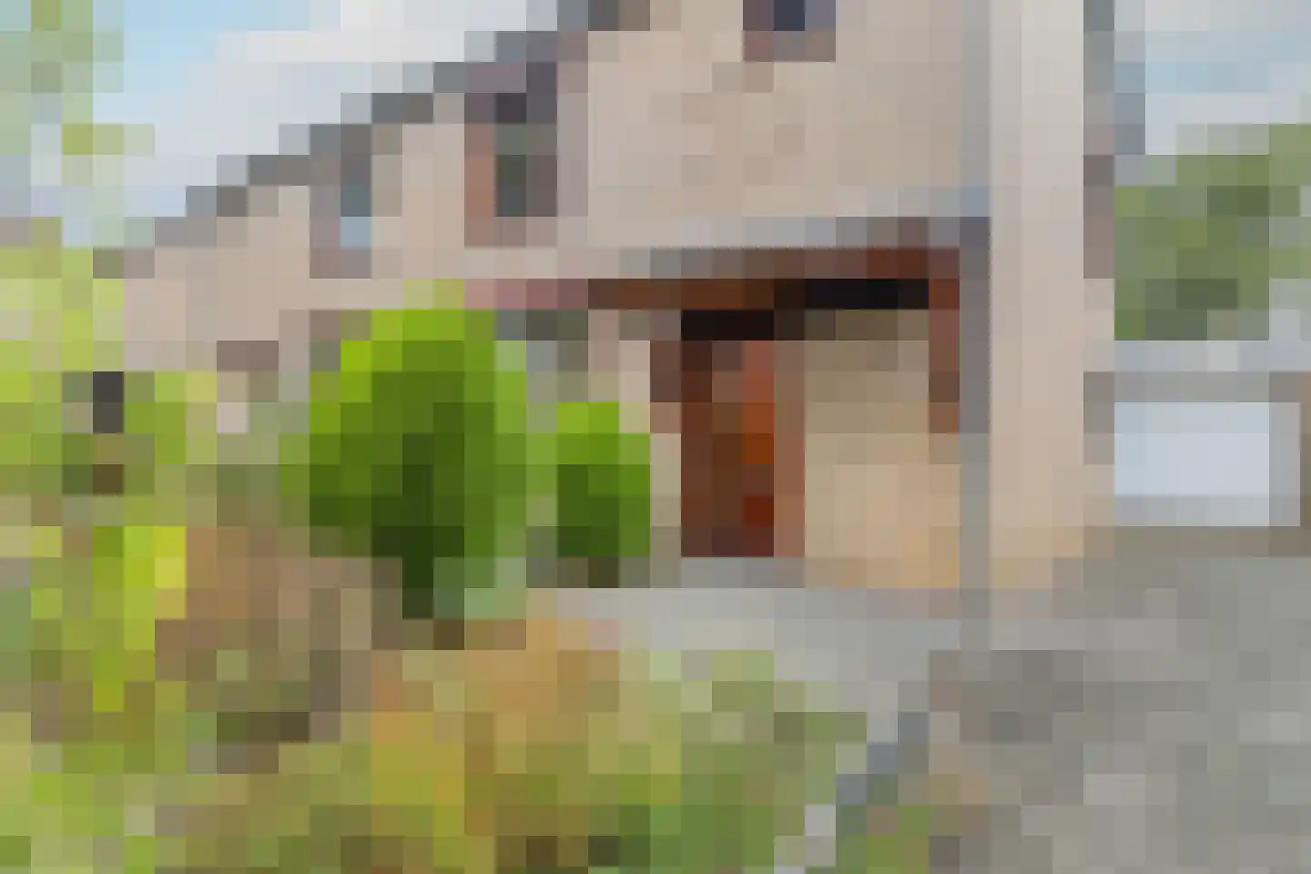 Kamperstraat 26 Stein thumbnail 4