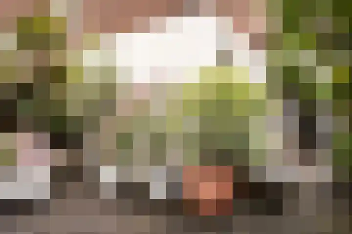 Kamperstraat 28 ZW Haarlem thumbnail 17