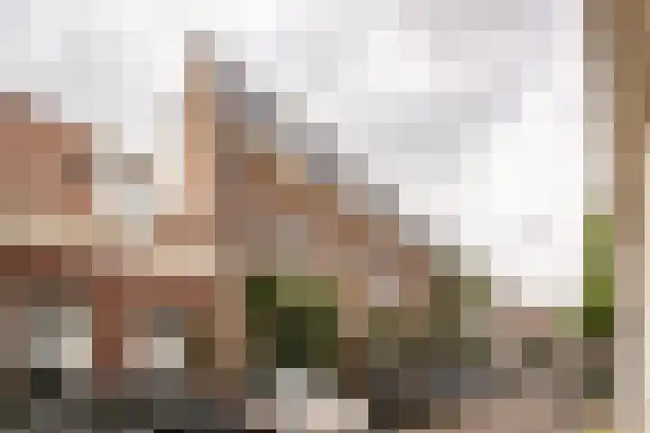 Kamperstraat 28 ZW Haarlem thumbnail 32