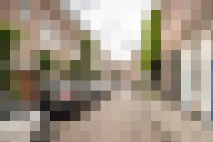 Kamperstraat 28 ZW Haarlem thumbnail 33