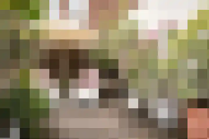 Kamperstraat 28 ZW Haarlem thumbnail 4