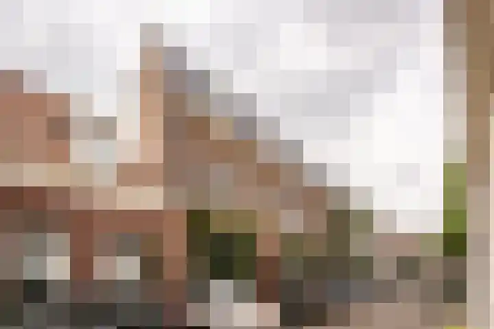Kamperstraat 28 ZW Haarlem thumbnail 5