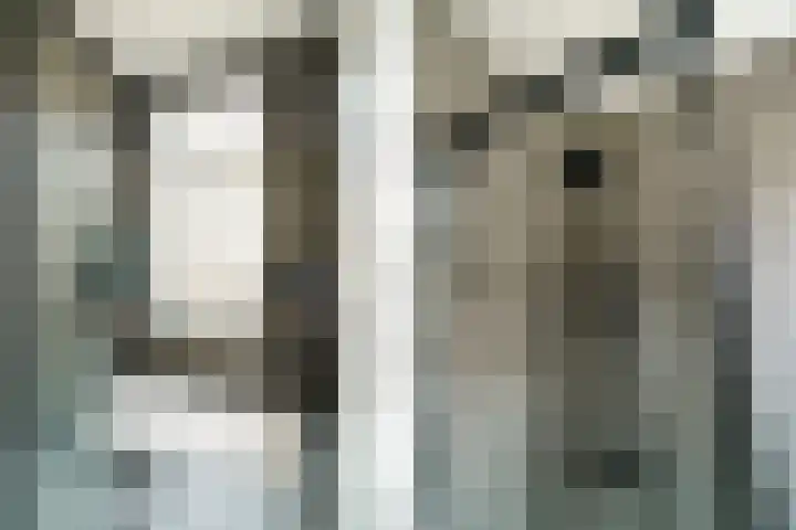 Kamperstraat 3 Haarlem thumbnail 24