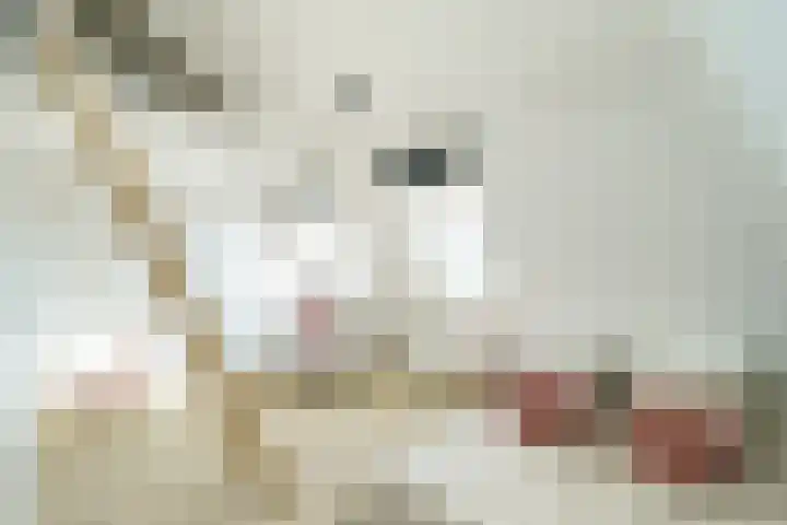 Kamperstraat 3 Haarlem thumbnail 31