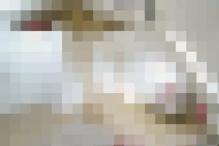 Kamperstraat 3 Haarlem thumbnail 32
