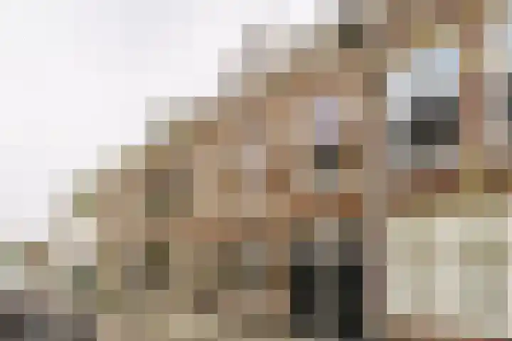 Kamperstraat 3 Haarlem thumbnail 35