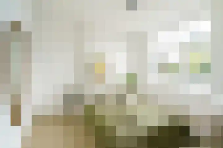 Kamperstraat 3 Haarlem thumbnail 5