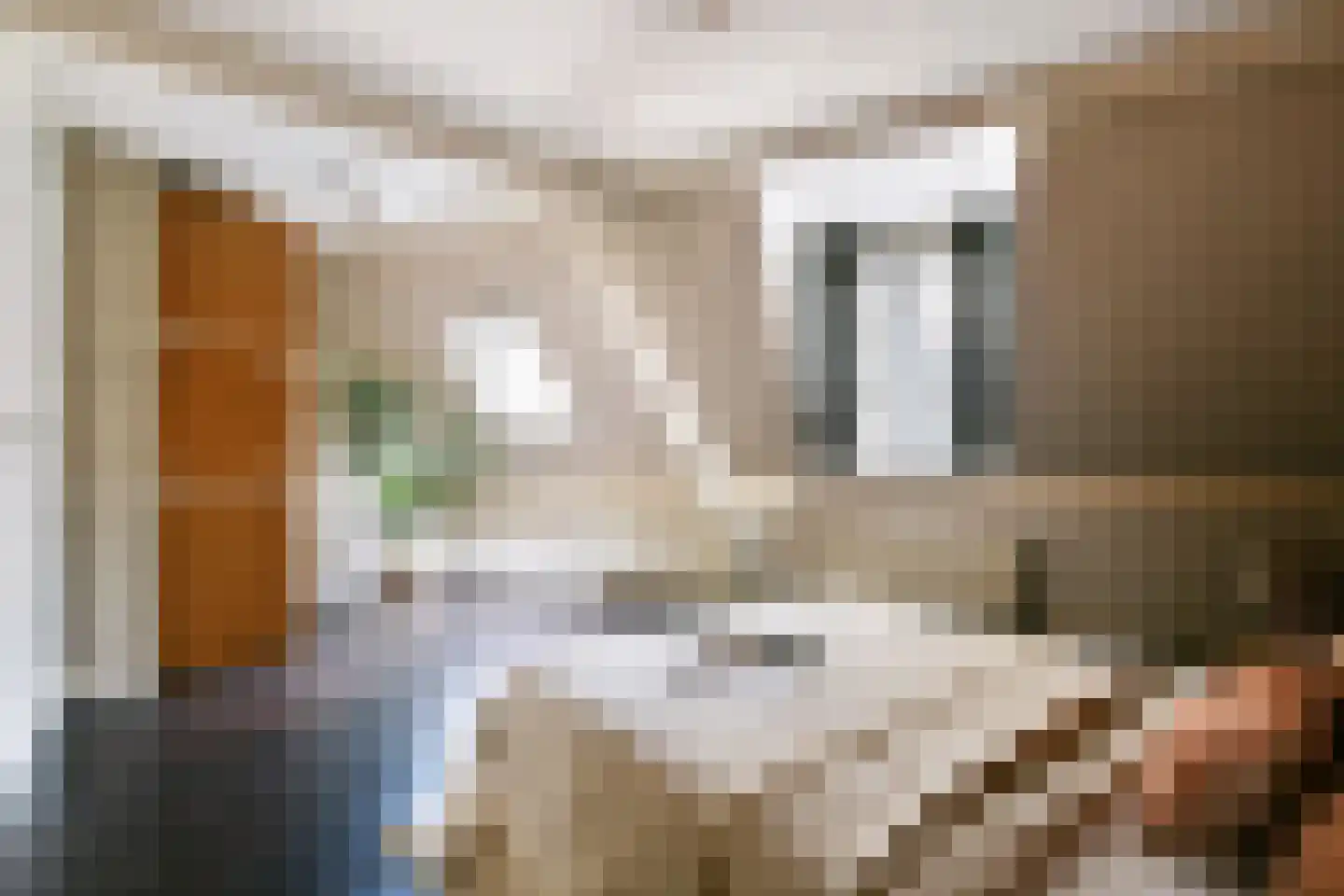 Kamperstraat 32 Haarlem thumbnail 25