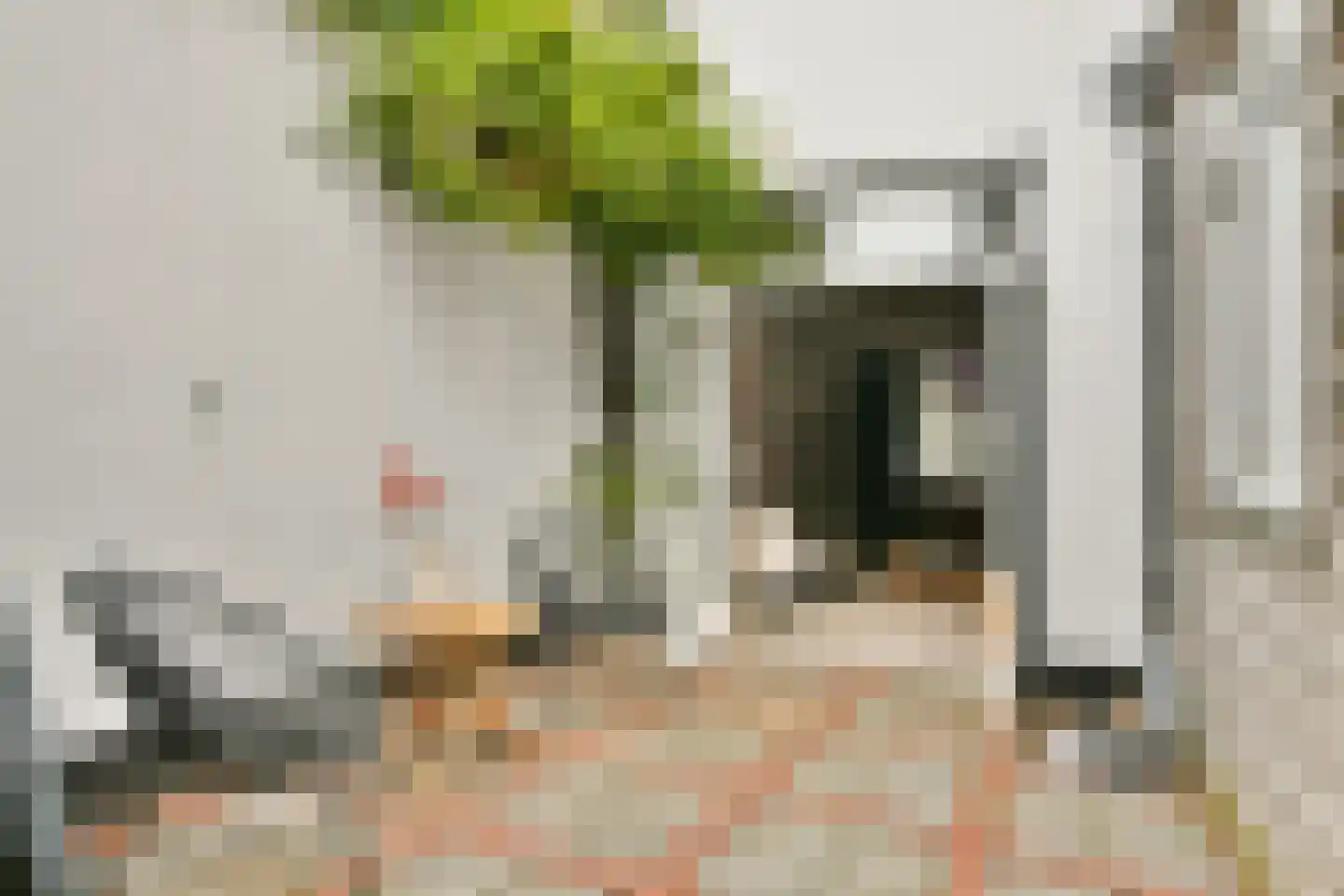 Kamperstraat 32 Haarlem thumbnail 4