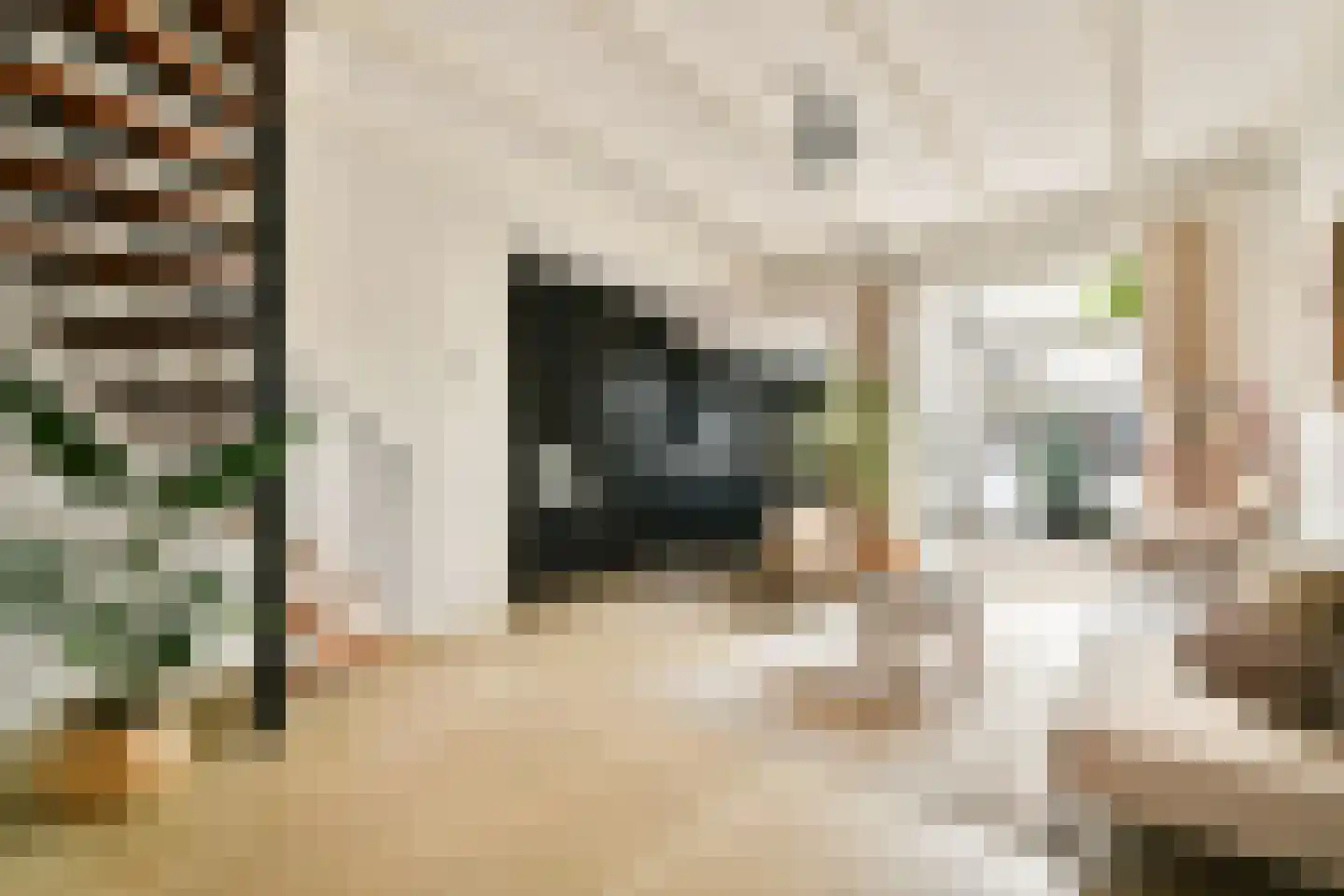 Kamperstraat 32 Haarlem thumbnail 8