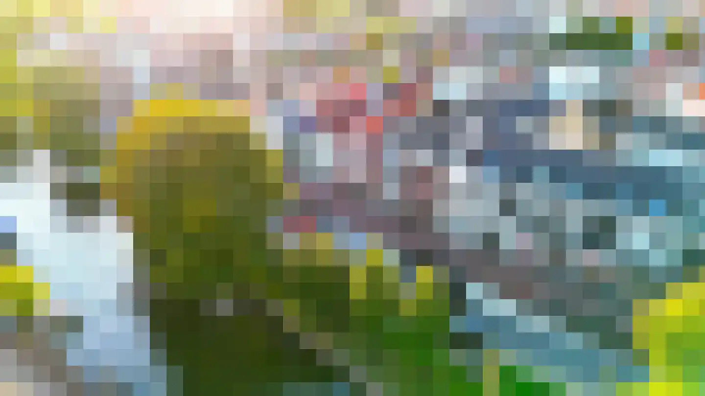 Kampervest 49 Haarlem thumbnail 38
