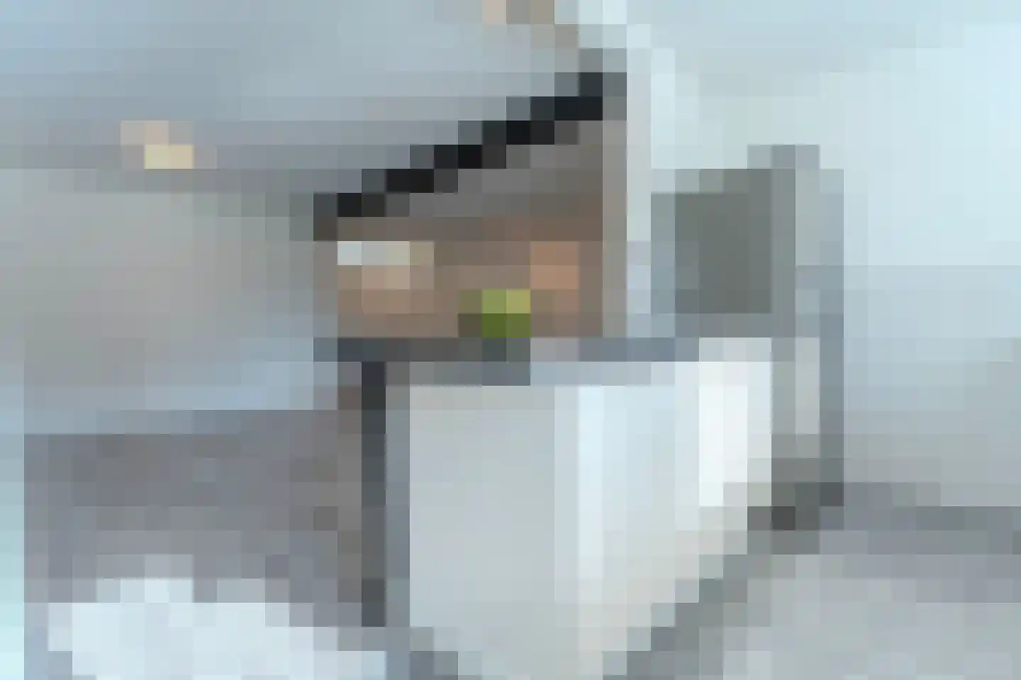Kampervest 49 Haarlem thumbnail 4