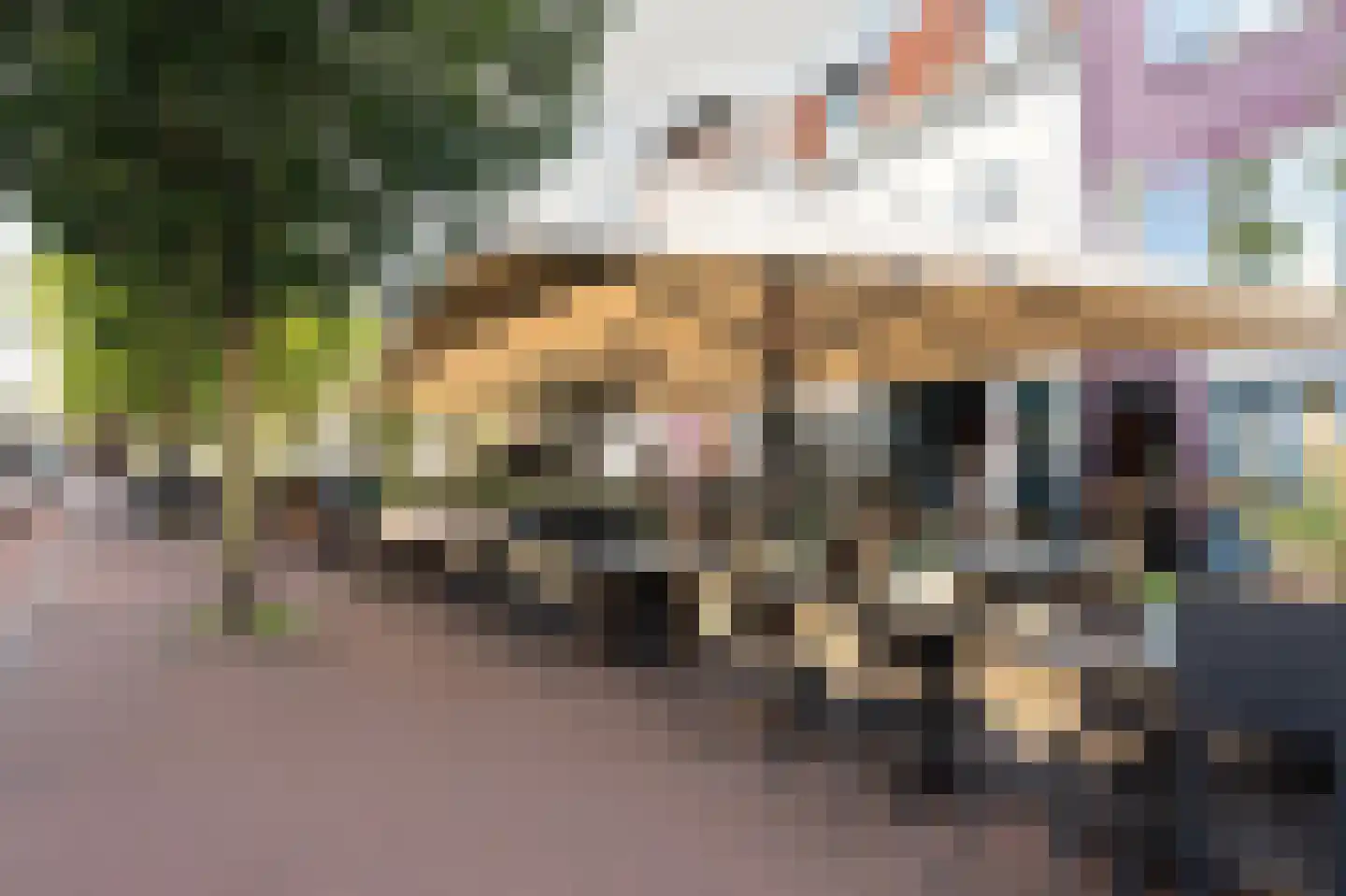 Kampervest 49 Haarlem thumbnail 44