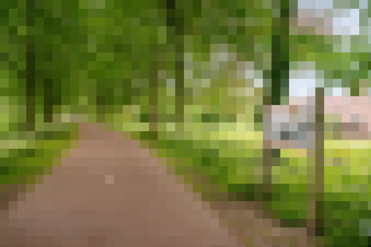 Kamperveste 39 Nieuwegein thumbnail 33