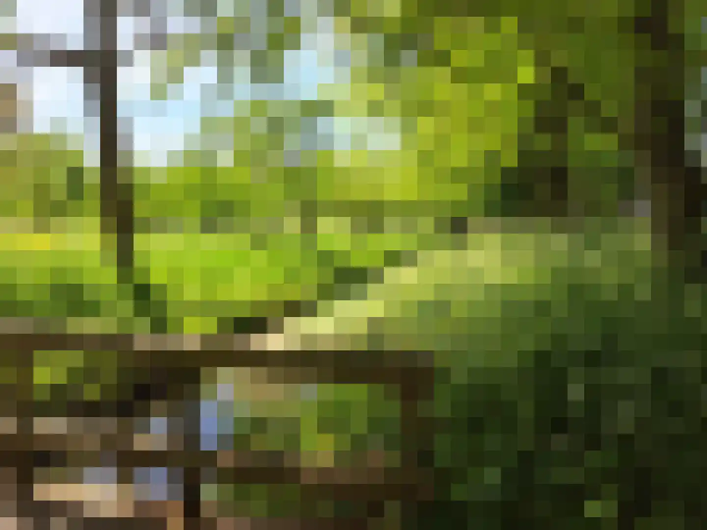 Kamperveste 39 Nieuwegein thumbnail 34