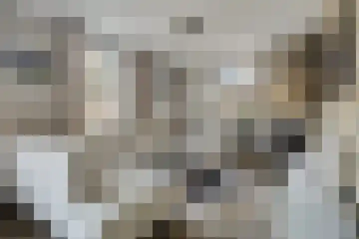 Kamperweg 3 A Emmeloord thumbnail 13