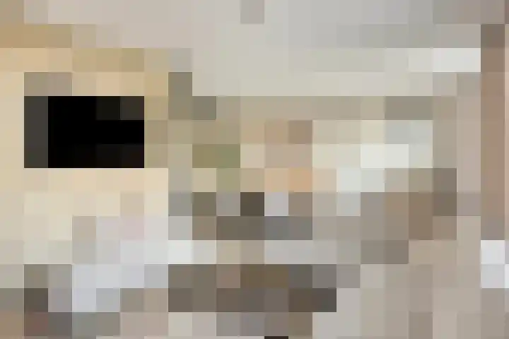 Kamperweg 3 A Emmeloord thumbnail 15