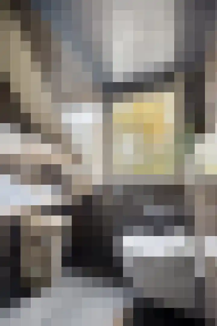 Kamperweg 3 A Emmeloord thumbnail 29