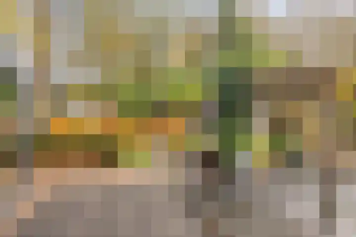 Kamperweg 3 A Emmeloord thumbnail 35