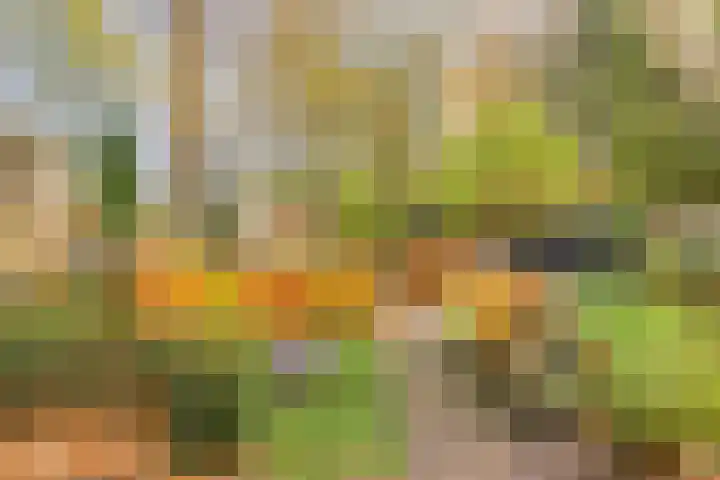 Kamperweg 3 A Emmeloord thumbnail 36