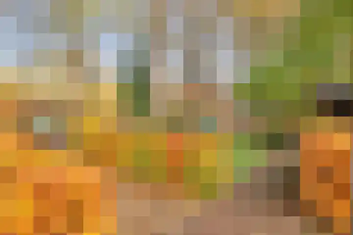 Kamperweg 3 A Emmeloord thumbnail 37