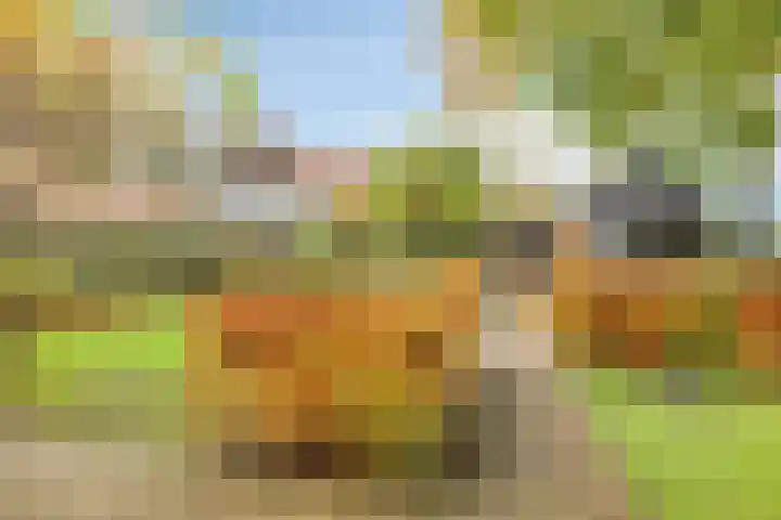 Kamperweg 3 A Emmeloord thumbnail 39