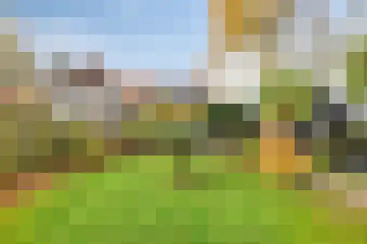Kamperweg 3 A Emmeloord thumbnail 40
