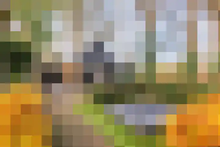 Kamperweg 3 A Emmeloord thumbnail 41
