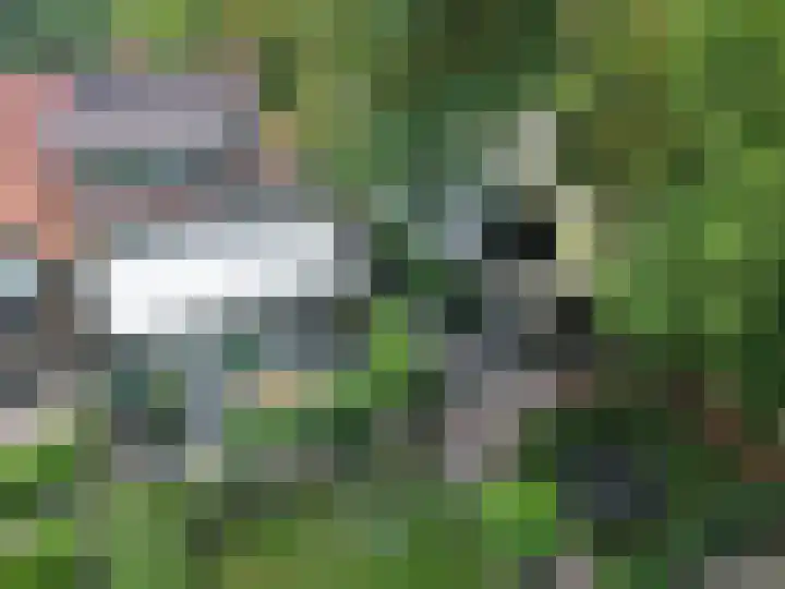 Kamperweg 3 A Emmeloord thumbnail 43