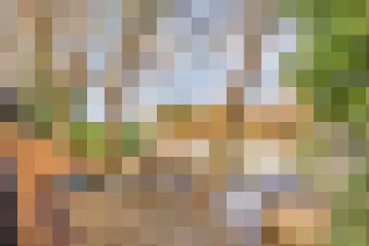 Kamperweg 3 A Emmeloord thumbnail 47