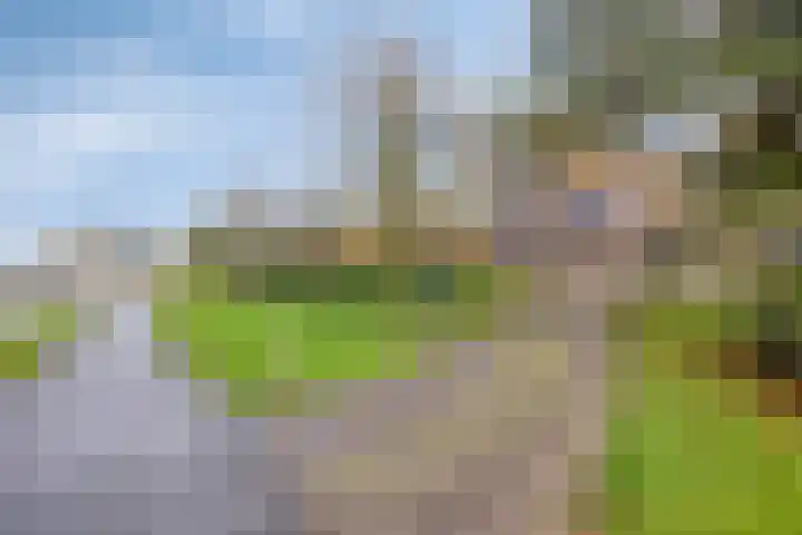 Kamperweg 3 A Emmeloord thumbnail 5