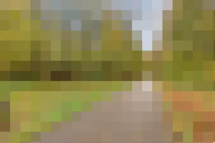 Kamperweg 3 A Emmeloord thumbnail 60