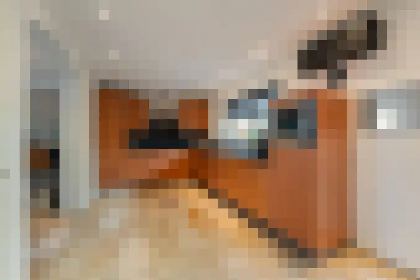 Kamperweg 3 B Emmeloord thumbnail 22
