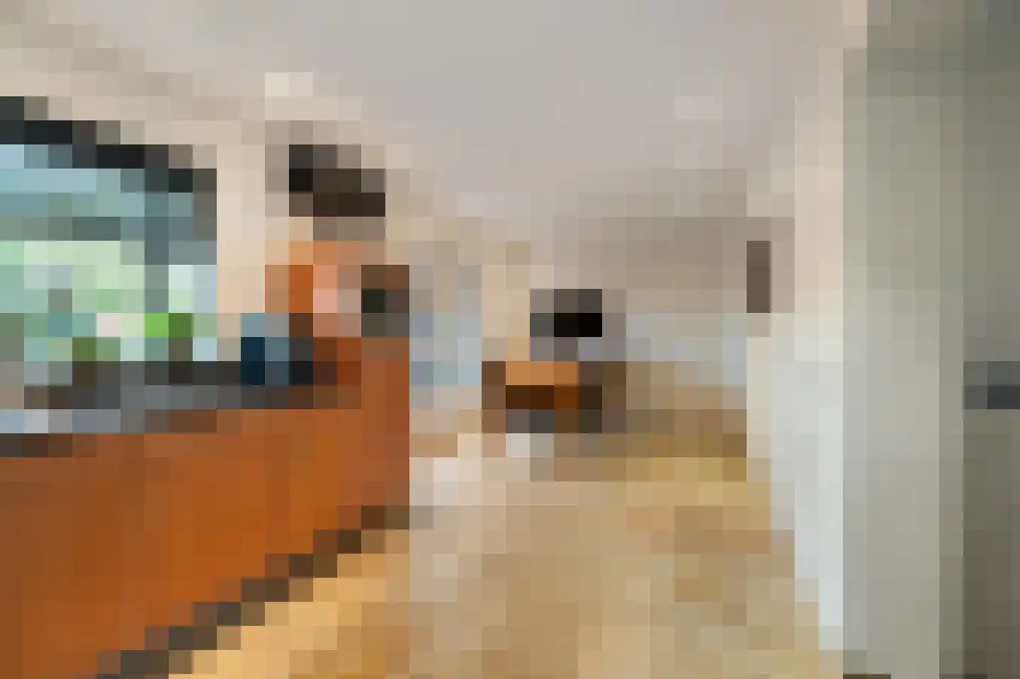 Kamperweg 3 B Emmeloord thumbnail 24