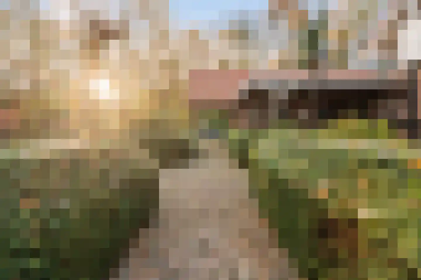Kamperweg 3 B Emmeloord thumbnail 36