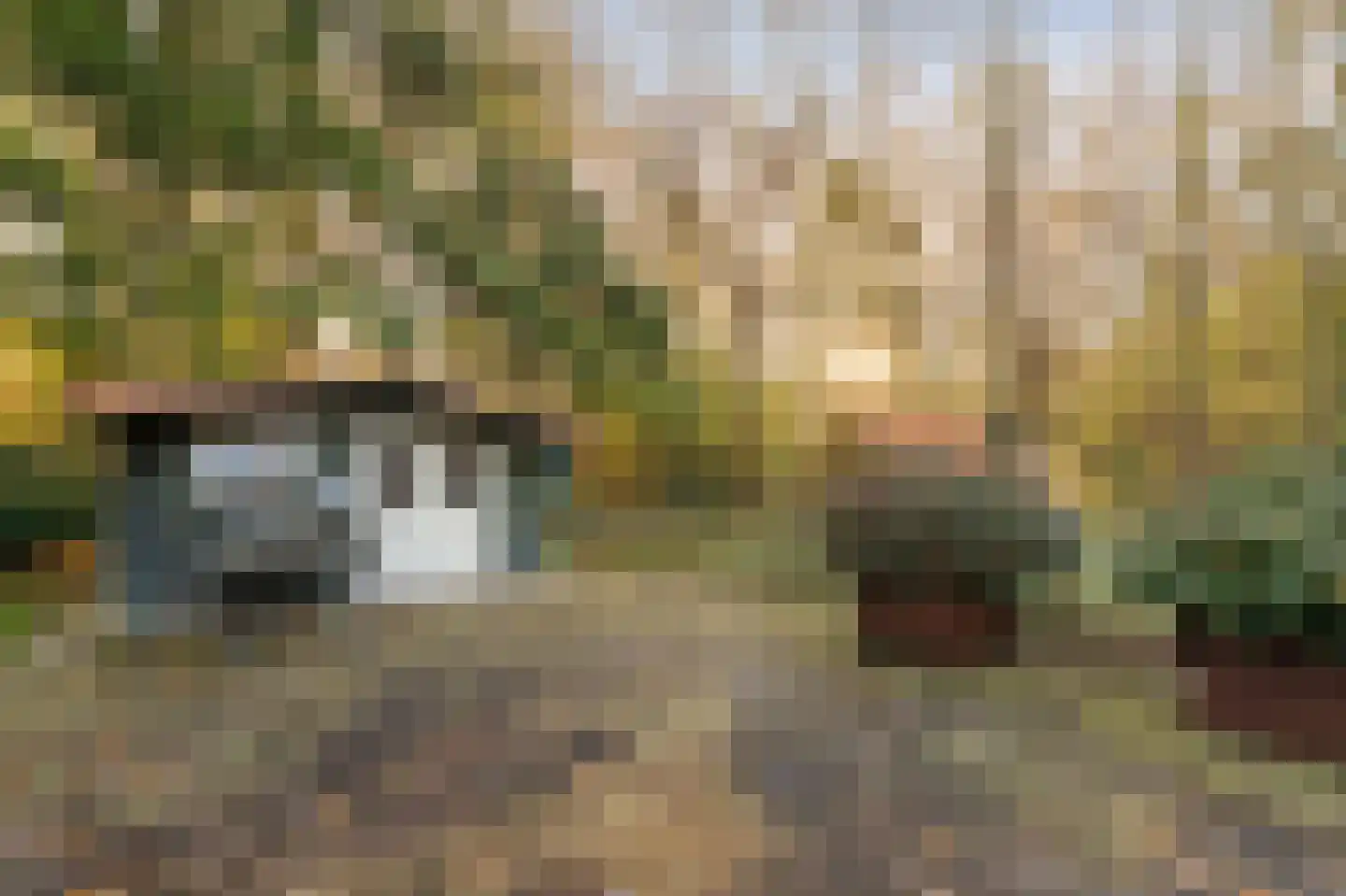 Kamperweg 3 B Emmeloord thumbnail 38