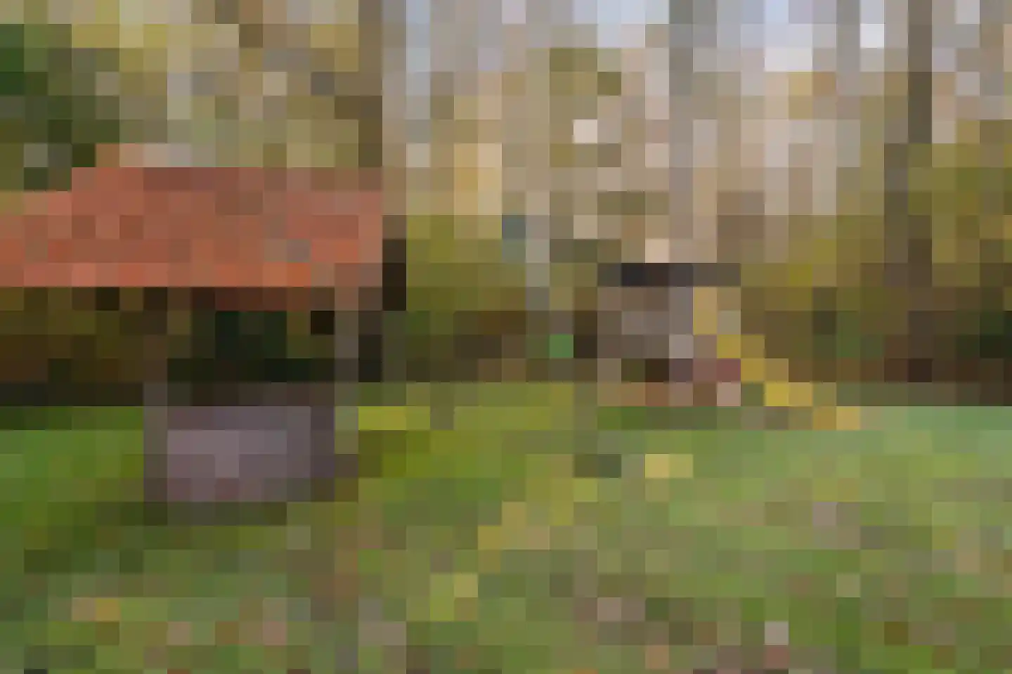 Kamperweg 3 B Emmeloord thumbnail 40